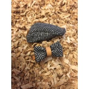 Sixpence og butterfly